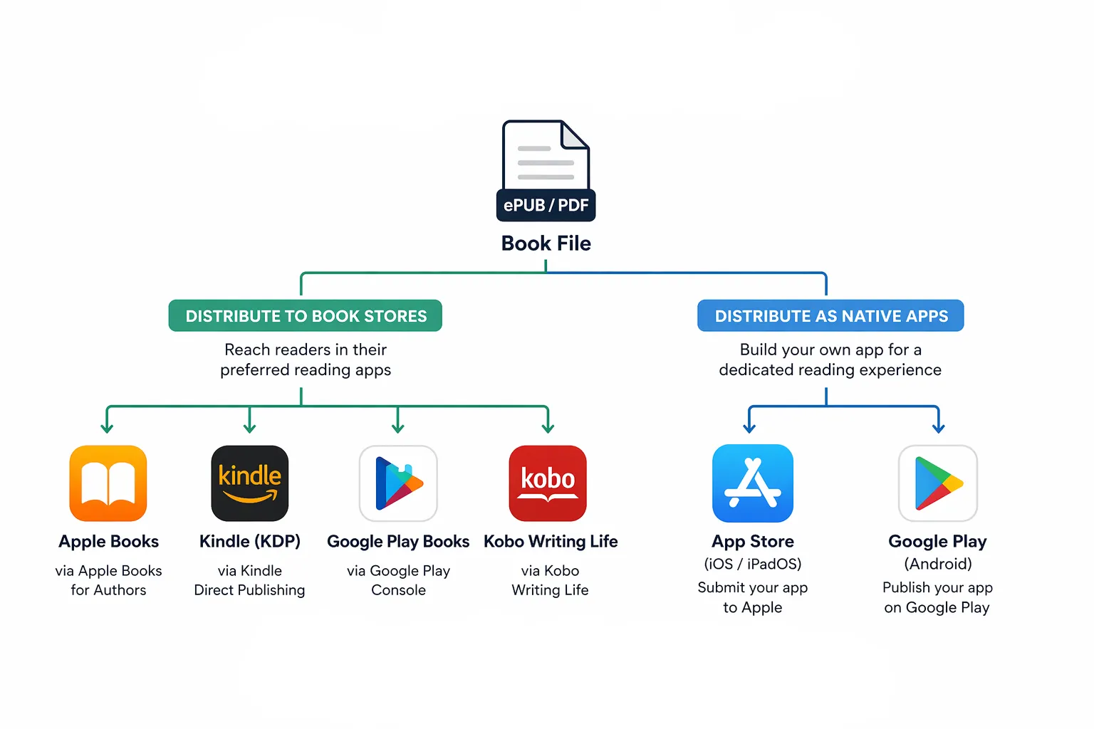 Distribution paths for a self-published interactive ebook — Apple Books, Kindle, Google Play Books, Kobo, and native App Store / Google Play.